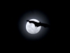 mond