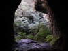 glowwormtunnel_nach_draussen