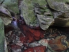 an-der-luft-gruen-unter-wasser-rot
