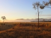 morgendlicher-nebel-1
