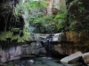 moss-gardens