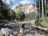 ronja-in-der-carnarvon-gorge
