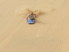 sandboarding-1