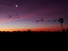 kurz-nach-sonnenuntergang-irgendwo-im-outback