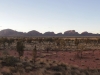 panorama-kata-tjuta