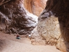 ronja-beim-aufwaermen-in-der-redbank-gorge