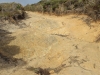 uebler-4wd-track
