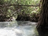 Eli Creek