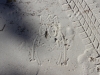 Pani im Sand