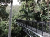 Skywalk