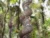 Spirale