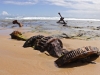wreck_beach_2