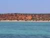 rote-duenen