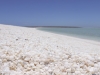 shell-beach_quer