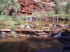 viele-kleine-wasserfaelle-in-der-dales-gorge