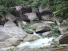 die-boulders-im-regenwald
