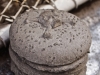 beton_burger