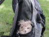 pani_rucksack