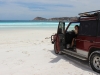 pumba-lucky-bay