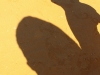 pinnacles-schatten