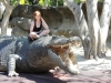 Ronja, Pani und ein Kroko im Australia Zoo