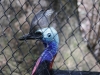 Im Australia Zoo