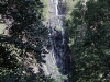 Wasserfall im Kondalilla National Park