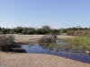 manly_teich