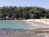 shelly_beach