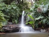 Ein kleiner Wasserfall im Botanischen Garten