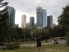 Skyline