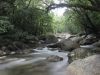 bach-in-der-mossman-gorge-2