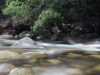 bach-in-der-mossman-gorge