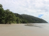 strand-im-daintree-np-1