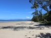 strand-im-daintree-np