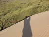 schatten