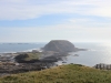 seal_rocks