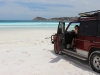 pumba-lucky-bay