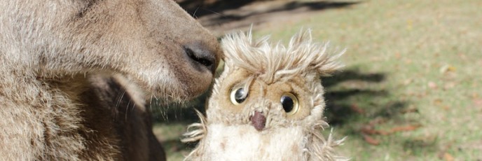 Känguru knutscht Pani