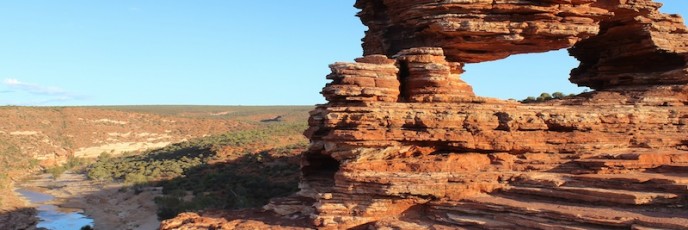 Nature's Window