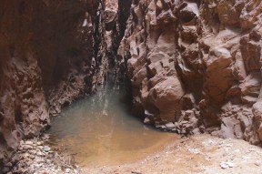 Schmaler Pool in der Redbank Gorge