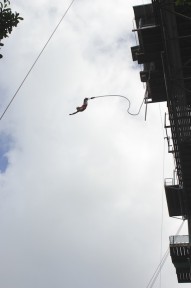 Bungee #1