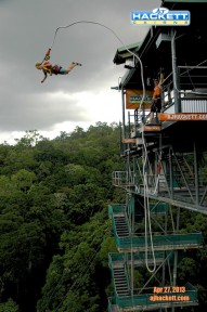 Bungee #2