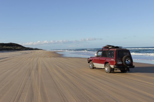 Pumba am Strand auf Fraser Island