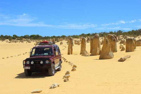 Pumba in den Pinnacles