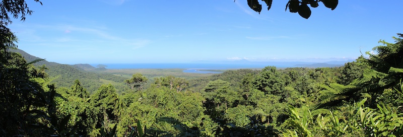Panorama Daintree NP
