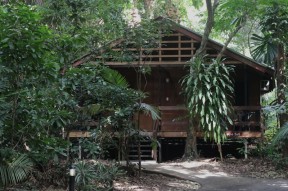 Unsere Hütte im Regenwald