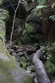 Feuchter Canyon