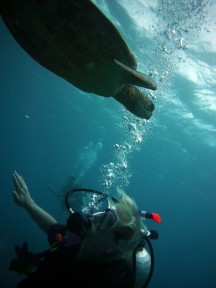 Ronja und Schildkröte